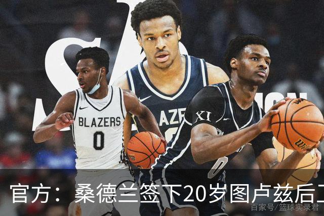 官方：桑德兰签下20岁图卢兹后卫梅塔利，球员将身披6号球衣